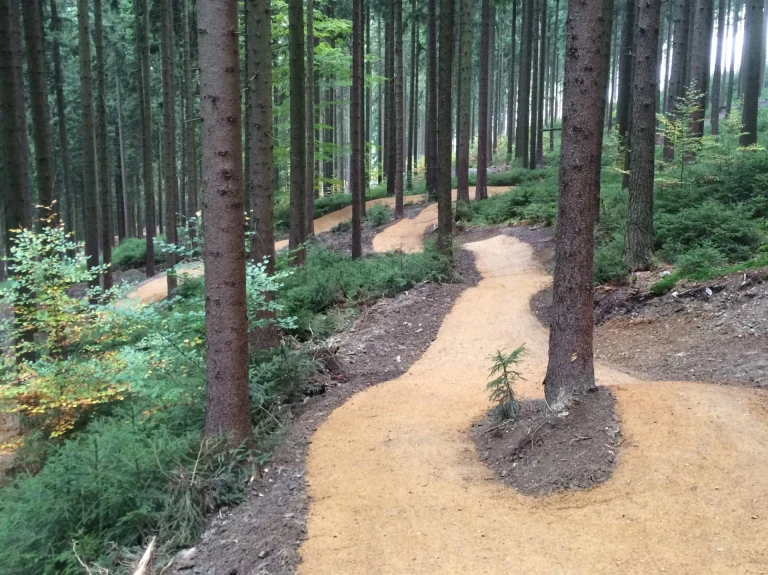 Eingebettet in die Natur soll auf dem Kornberg ein 10 km langer Trail entstehen, ähnlich dem der Bikewelt Schöneck (Fotoquelle: Schneestern GmbH & Co. KG)