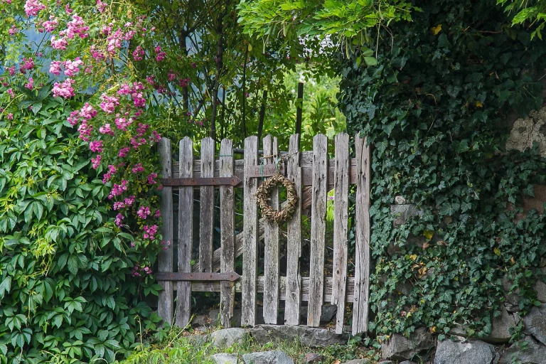 Tag der offenen Gartentür 2019