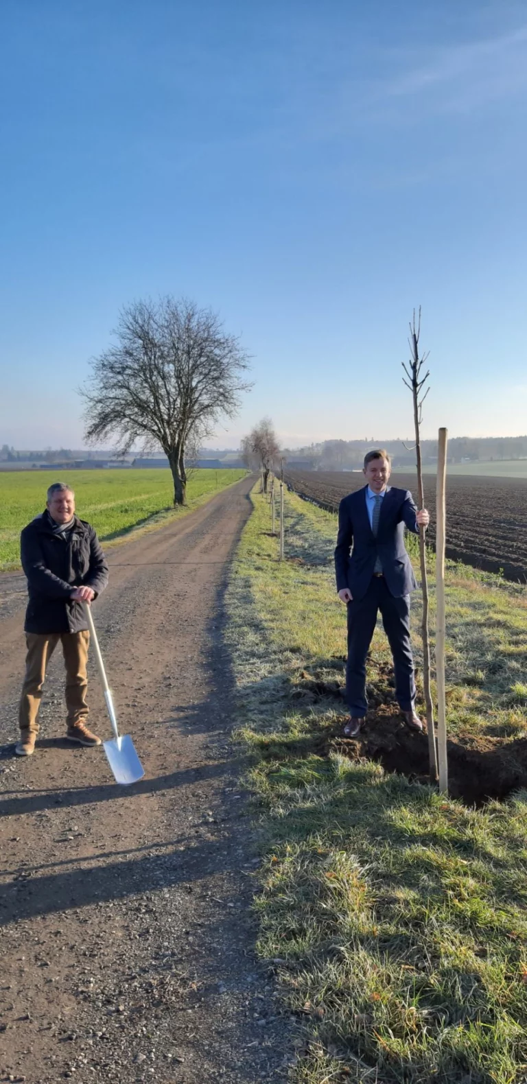 Neue Allee zwischen Plösen und Solg gepflanzt