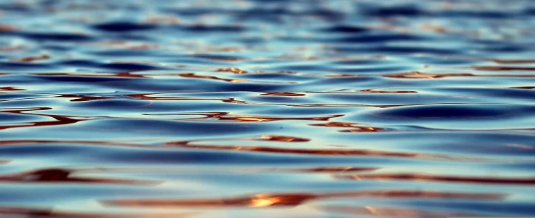 Blaualgen: Badewarnung für den Förmitzspeicher
