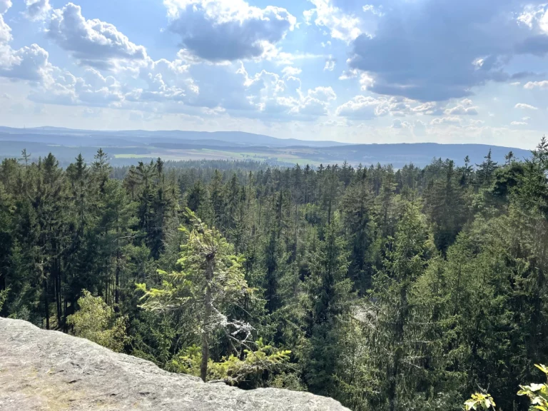 Erste Erkenntnisse aus dem Monitoring am Großen Kornberg