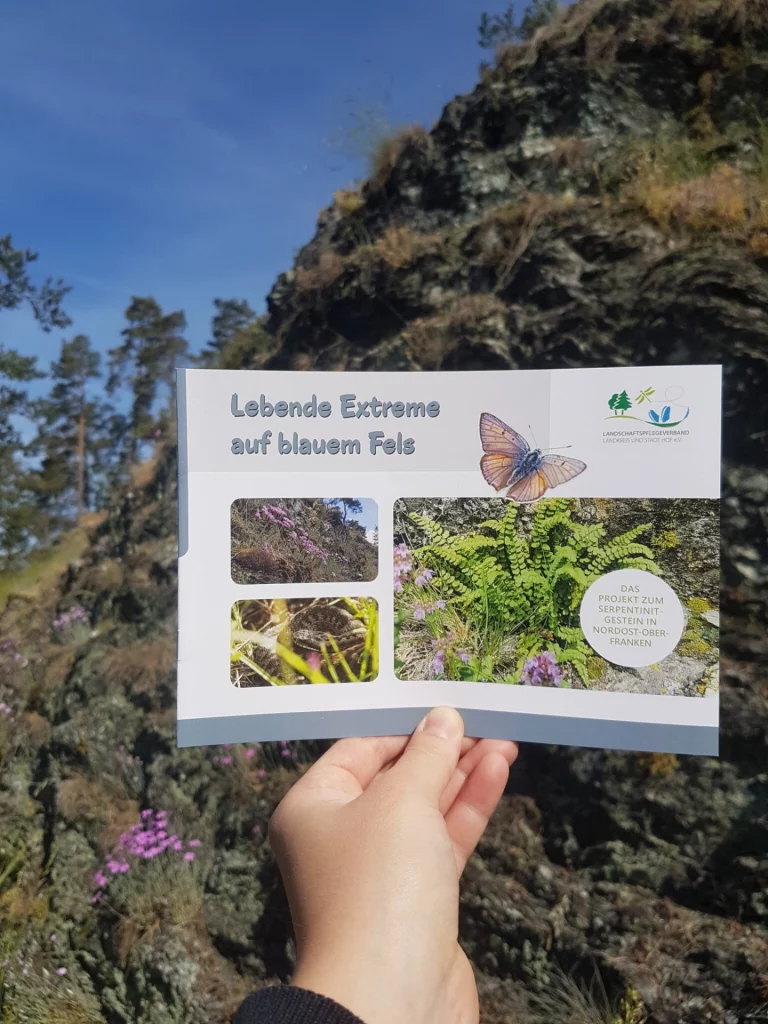 Serpentinit-Projekt des LPV: Broschüre informiert über Naturschatz der Region