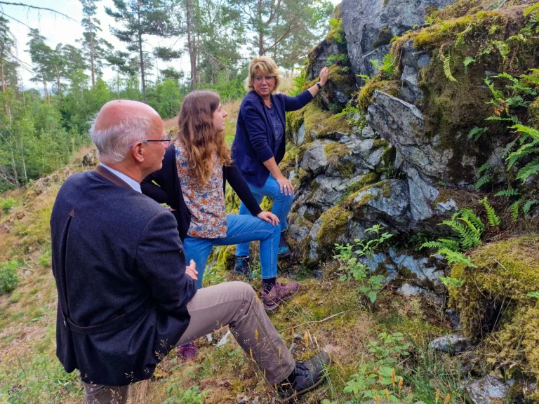 Förmitztalsperre: Schild informiert über seltenen Serpentinitstandort