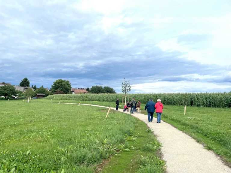 Fertigstellung und Übergabe Ausgleichsfläche Hintere Höhe Münchberg