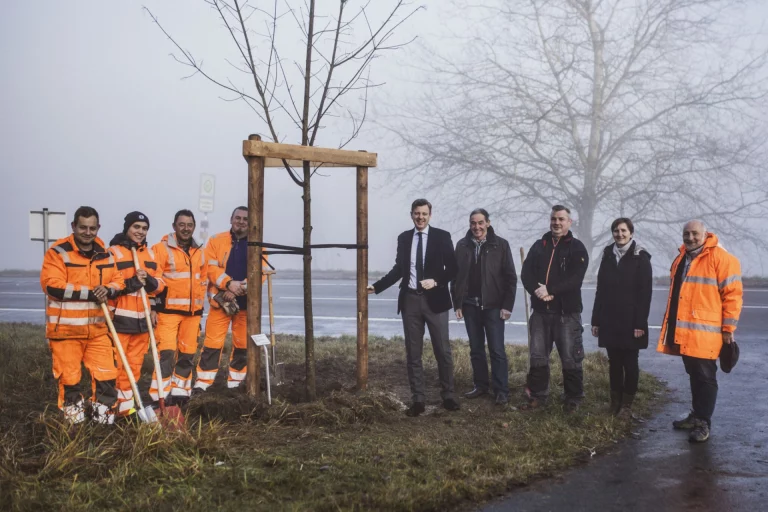 Jubiläumsaktion – Naturpark Frankenwald pflanzt Bäume im Landkreis Hof