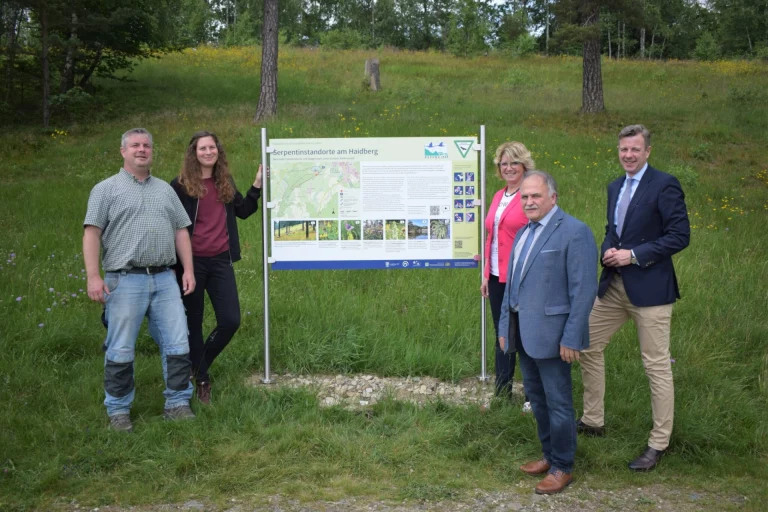 Geschützter Serpentinit-Standort: Neues Infoschild am Haidberg bei Zell