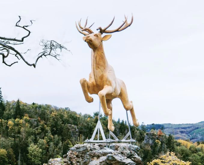 Neuer Hirsch im Höllental