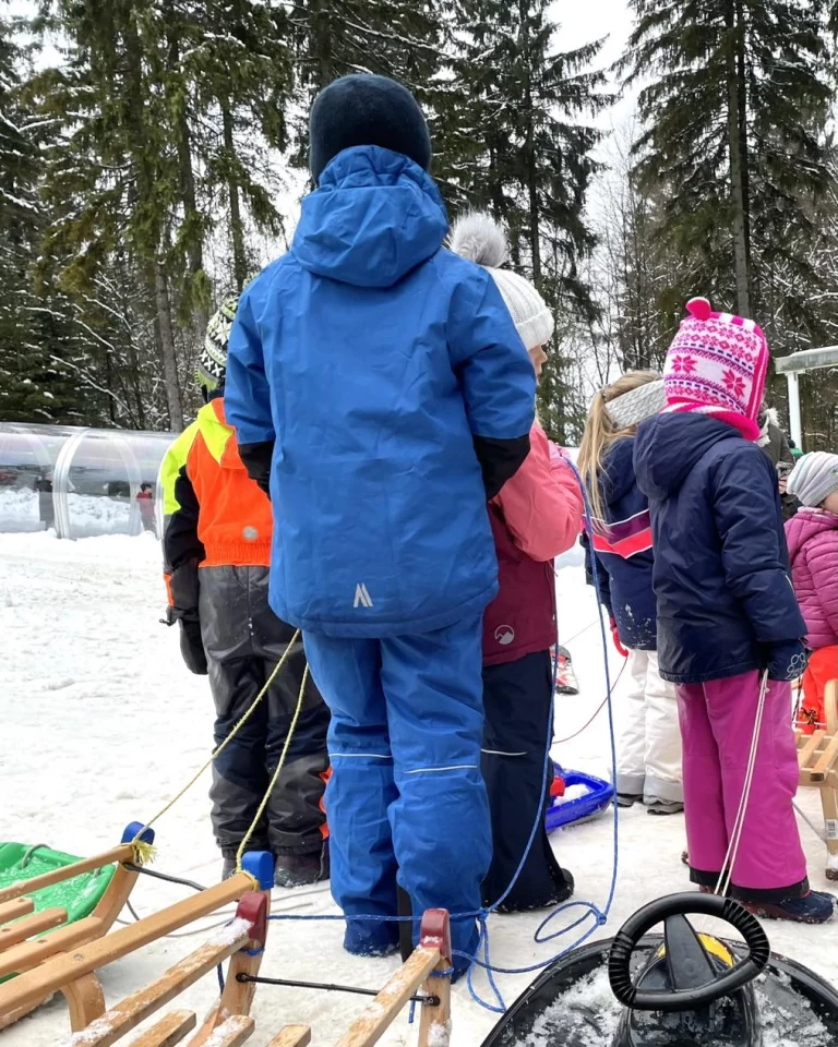 Kinder mit Schlitten und Bobs stehen angeleint im Schnee zwischen Nadelbäumen