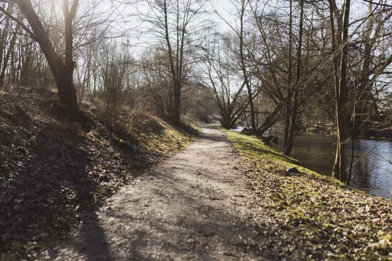 Schmaler Weg entlang eines Flusslaufs zwischen kahlen Bäumen im Winterlicht