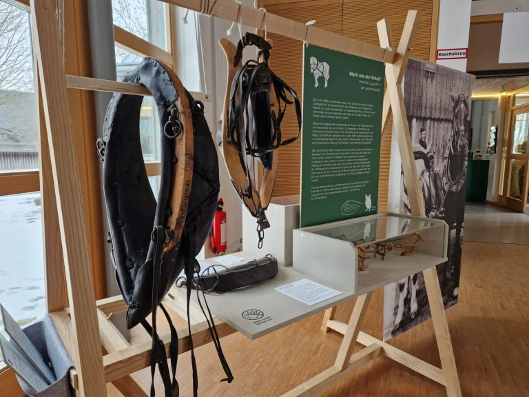 Museumsvitrine mit historischem Kummet, Lederriemen und Infotafeln zur Landwirtschaft