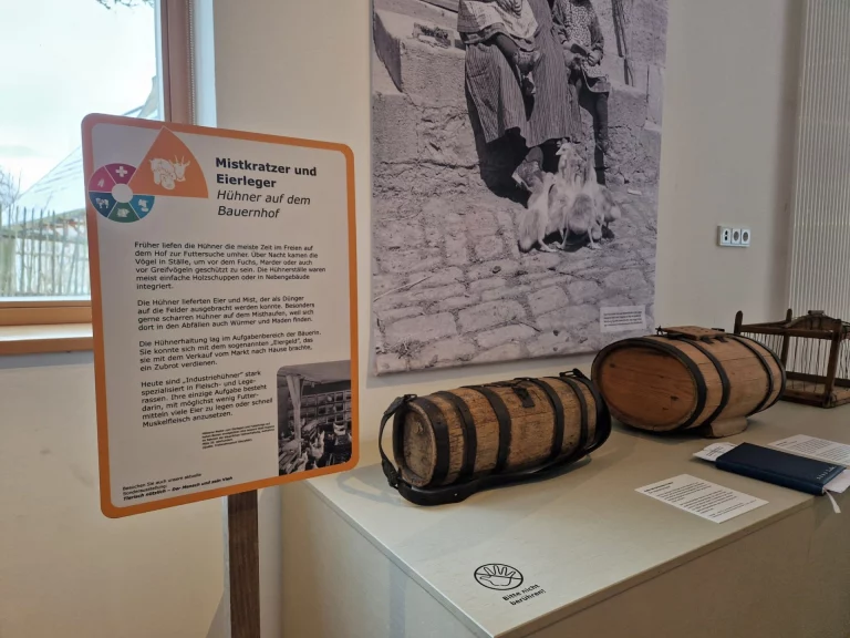 Infotafel zu Hühnerhaltung neben historischem Foto, Milchkanne und Hühnerkäfig in der Ausstellung
