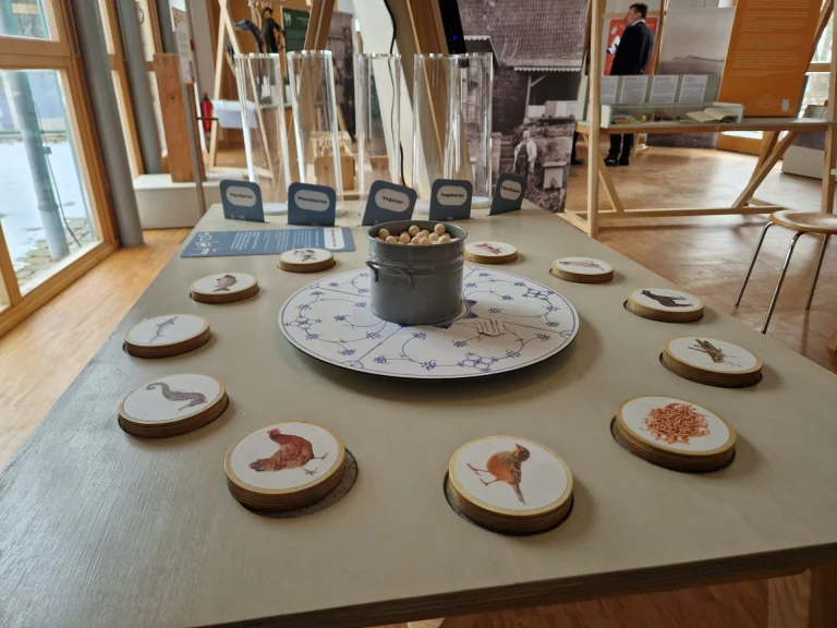 Tisch mit Tierbildern zu Futterarten, Setzkasten mit Vogeleiern und Infotafeln im Museumsraum