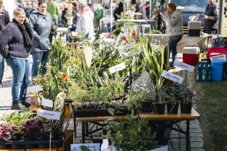 Verkaufstisch mit Kräuter- und Blumentöpfen samt Preisschildern, im Hintergrund Marktbesucher