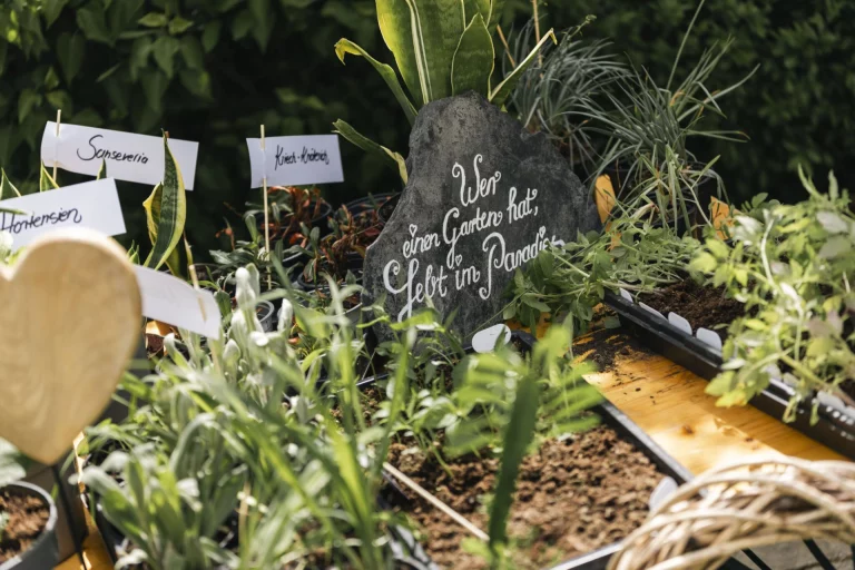 Kleine Pflanzen mit Namensschildern und Schiefertafel mit Gartenspruch auf einem Tisch