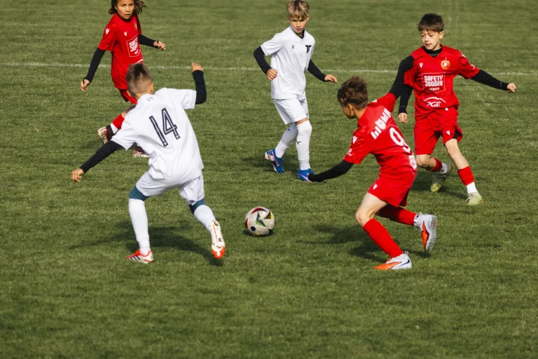Mini-EM 2026 Rehau