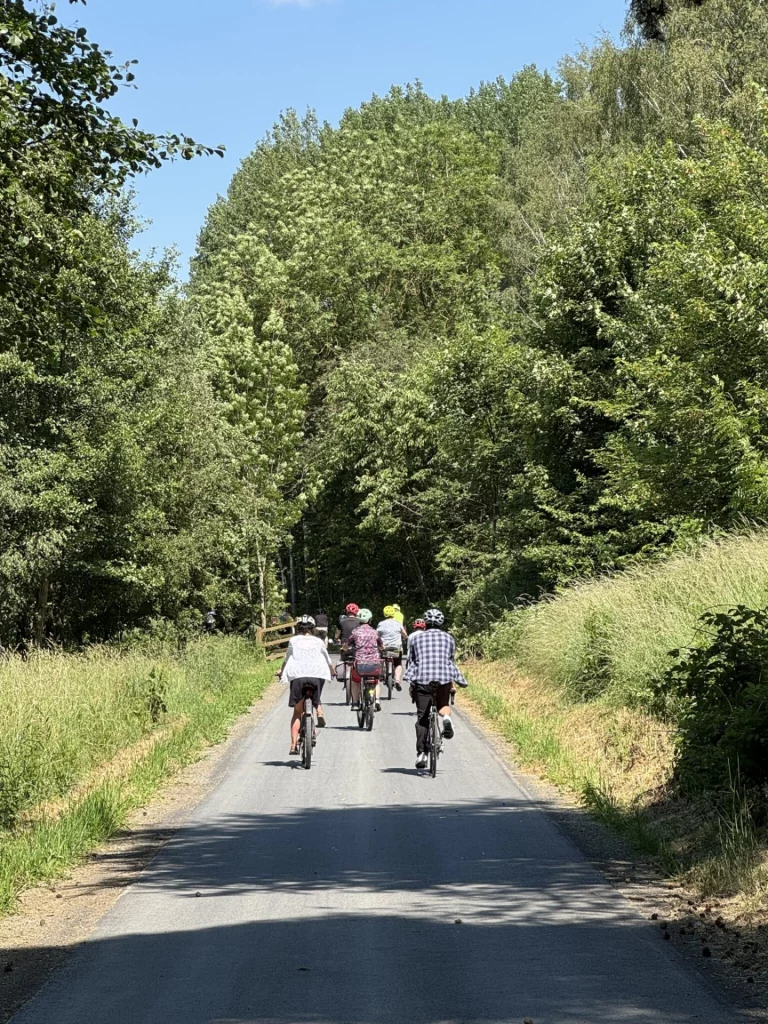 Gruppe von Radfahrenden auf asphaltiertem Weg durch ein Alleestück im Grünen