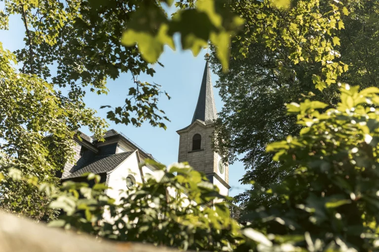 Blick durch Laub auf Kirchturm und Satteldach eines Ortskerns in Hallerstein