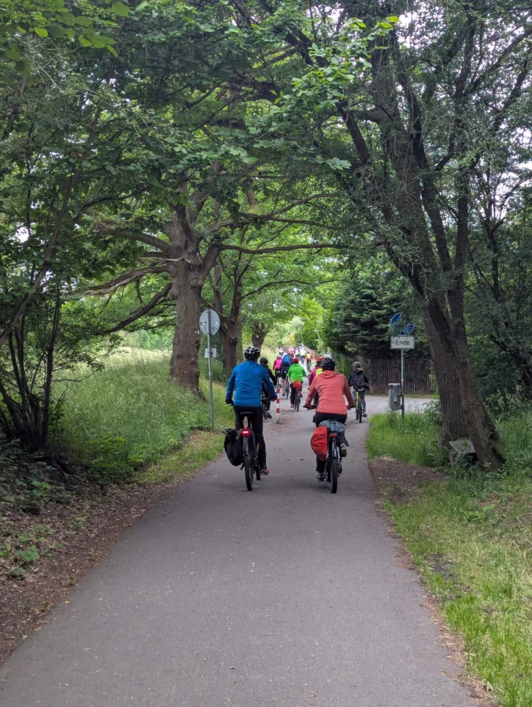 Radfahrgruppe auf schattigem Radweg zwischen Bäumen unterwegs