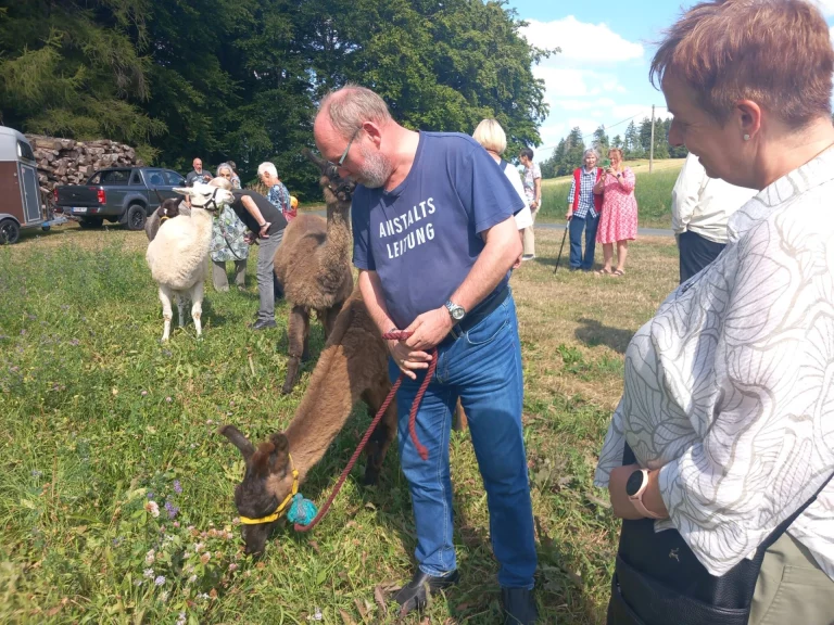 Mann mit Shirt „Anstaltsleitung“ führt ein Lama an der Leine über eine Weide, Umstehende beobachten