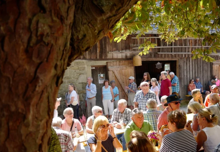 Besucher sitzen und stehen bei Sonnenschein im Hof des Bauernhofmuseums vor einer Scheune