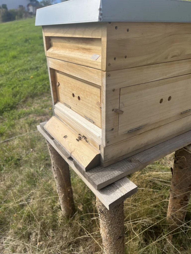 Hölzerner Bienenstock auf Holzfüßen in einer Wiese, Bienen am Einflugloch